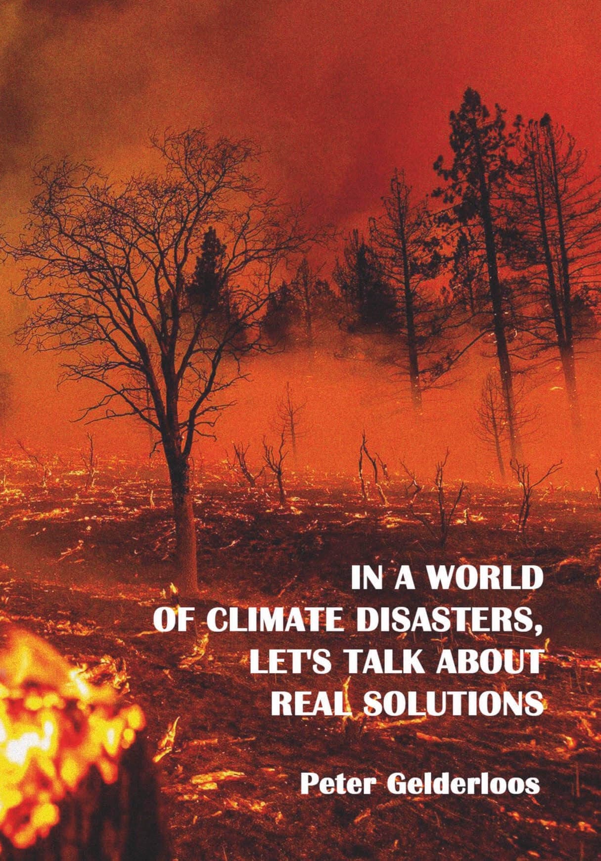 In a World of Climate Disasters, Let's Talk About Real Solutions